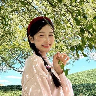 狐及其友