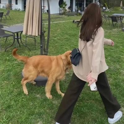 金厄姆的女孩